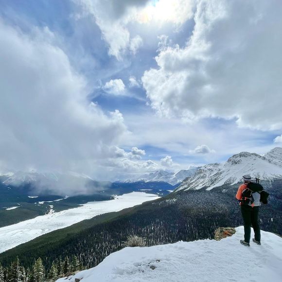 Meet your Posher, Alicia - Picture 1 of 1